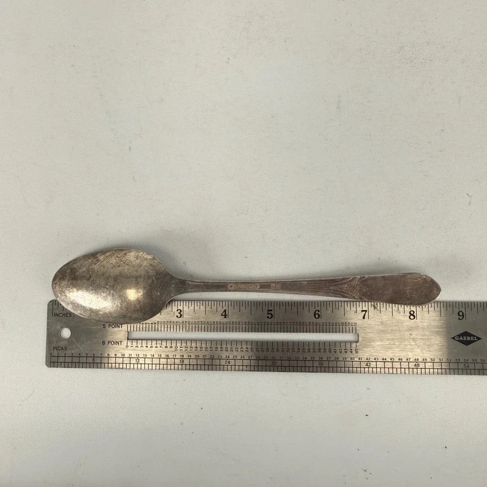 International Silverplate SERVING SPOON Mary Lou Devonshire Wm Rogers 8 1/2
